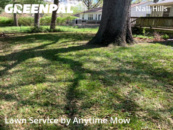 Grass Cut nearby Overland Park, MO, 