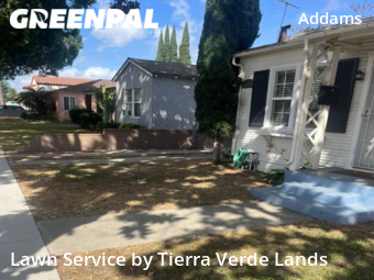 Yard Mowing nearby Long Beach, CA, 