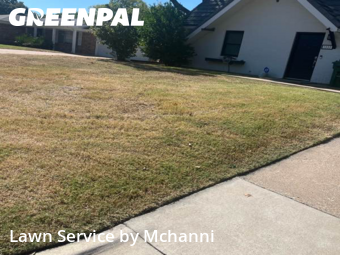 Grass Cutin Hurst,76053,Lawn Cutting by Mchanni, work completed in Nov , 2025
