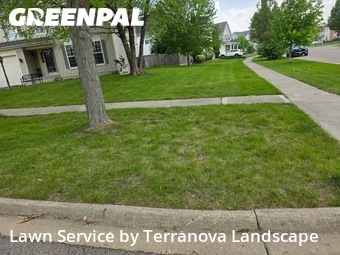 Grass Cutting in Carpentersville, 60110, Yard Maintenance by Terranova Landscape, work completed in Dec , 2025