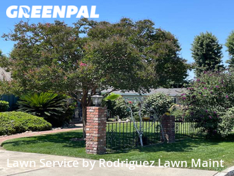 Yard Cutting nearby Tulare, CA, 