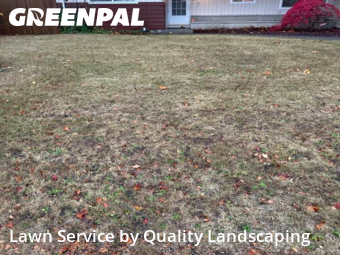 Turf Services in Renton, 98058, Backyard Mowing by Quality Landscaping, work completed in Dec , 2025