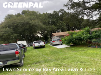 Grass Cut nearby Zephyrhills, FL, 