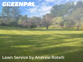 Grass Cutting nearby Baldwinsville, NY, 