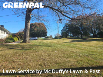 Front Yard Mowing in Knoxville, 37920, Front Yard Mowing by Mc Duffy’s Lawn & Pest, work completed in Nov , 2025