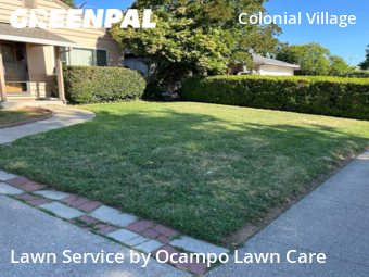 Grass Cut nearby Sacramento, CA, 