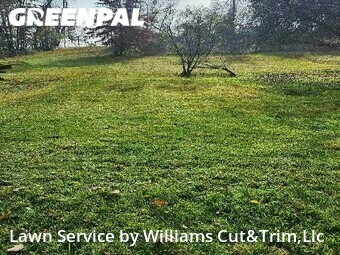 Lawn Cutting nearby Pittsburgh, PA, 