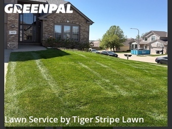 Lawn Service nearby Omaha, NE, 