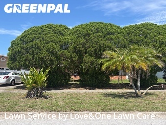 Lawn Service nearby Orlando, FL, 