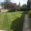 local-lawn-cutting-services-in-Kennewick-WA