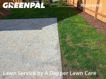 Lawn Mowing nearby Bellingham, WA, 