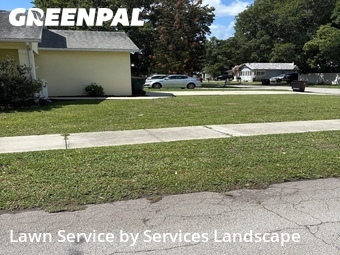 Lawn Cut nearby Saint Cloud, FL, 