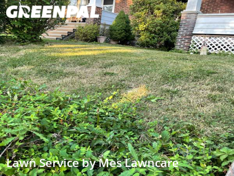Lawn Cut nearby Pittsburgh, PA, 