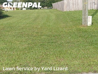 Grass Cut nearby Ocala, FL, 