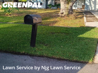 Grass Cut nearby Port St. Lucie, FL, 