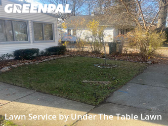 Grass Cut nearby Hazel Park, MI, 