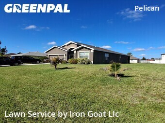 Lawn Cutting nearby Cape Coral, FL, 