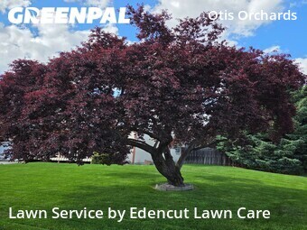 Lawn Service nearby Otis Orchards East Farms, WA, 