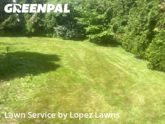 Yard Cutting nearby Shoreline, WA, 