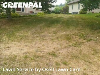 Yard Cutting nearby Osseo, MN, 
