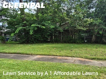 Lawn Service nearby Texas City, TX, 