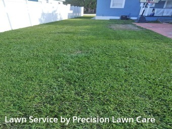 Lawn Mow nearby St. Petersburg, FL, 