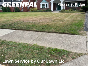 Landscaping In Cincinnati,45212,Landscaping Cleanup by Our Lawn Llc, work completed in Nov , 2025