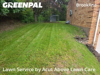 Lawn Cut nearby Pittsburgh, PA, 