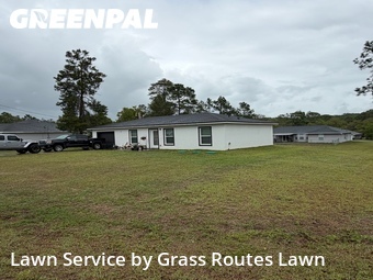 Lawn Mow nearby Ocala, FL, 