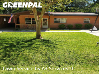 Lawn Cut nearby Brooksville, FL, 