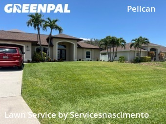 Yard Cutting nearby Cape Coral, VA, 