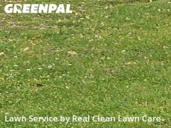 Yard Mowing nearby Charlotte, NC, 