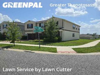 Grass Cut nearby Seffner, FL, 