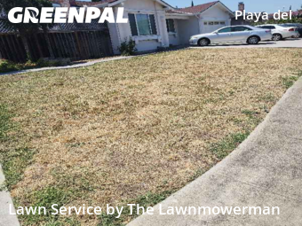 Work completed by cheap-lawn-cutting-businesses-in-San Jose-CA
