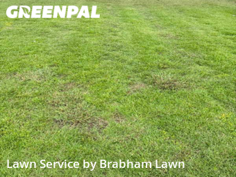 Lawn Service nearby Gonzales, LA, 