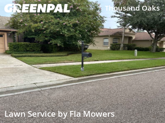Lawn Mowing Service nearby Trinity, FL, 