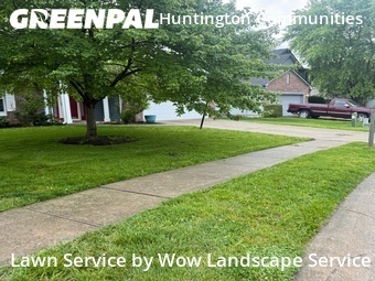 Lawn Cut nearby Indianapolis, IN, 