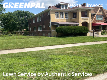 Grass Cut nearby Detroit, MI, 