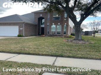 Lawn mowed in Pearland, 77584