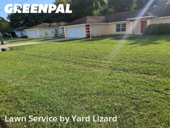 Grass Cut nearby Ocala, FL, 