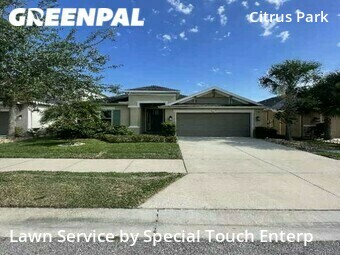 Lawn Services in Westchase, 33626, Lawn Upkeep by Special Touch Enterp, work completed in Nov , 2025