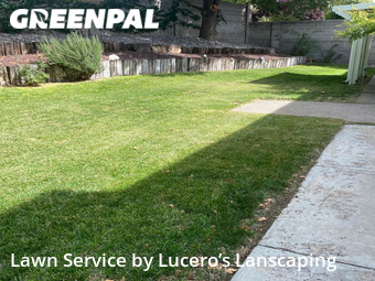 Lawn Cutting nearby Albuquerque, NM, 