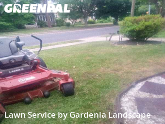 Lawn Mow nearby Ridley Park, PA, 