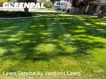 Lawn Mow nearby Fort Collins, CO, 