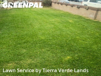 Grass Cut nearby Downey, CA, 