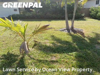 Grass Cutting nearby Pompano Beach, FL, 