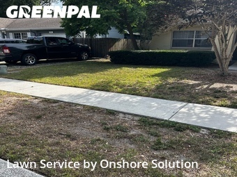 Lawn Cut nearby Palm Harbor, FL, 