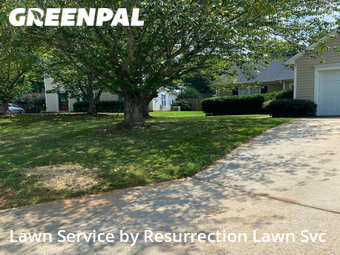 Lawn Care Service nearby Browns Summit, NC, 