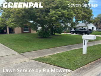 Grass Cutting nearby Trinity, FL, 