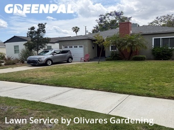 Grass Cut nearby Burbank, CA, 